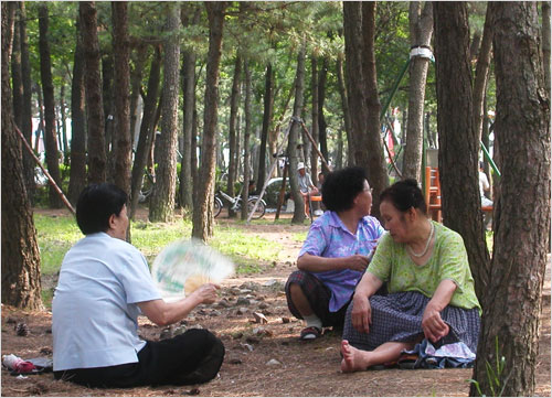 바람 한 점 없는 무더위에는 부채바람이 위력을 발휘하죠 